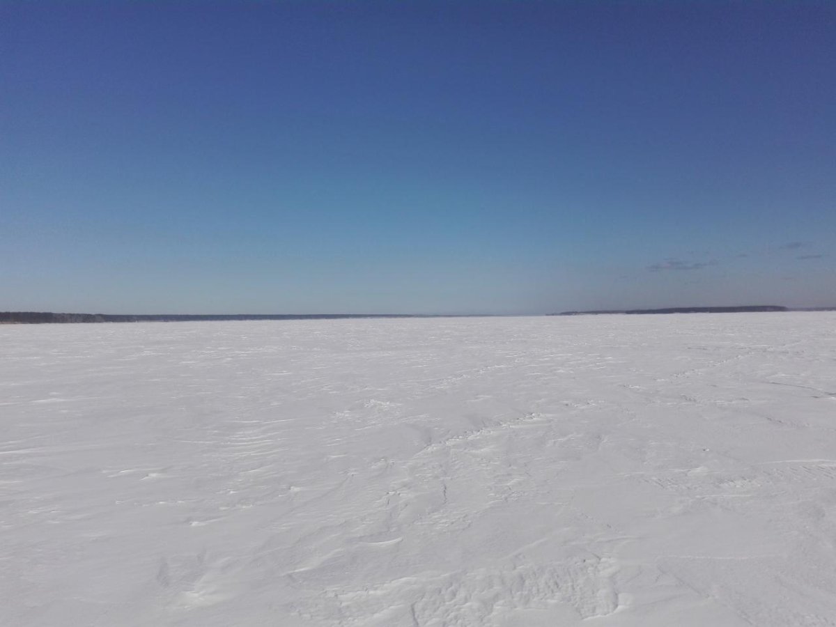 Сухое море дойка