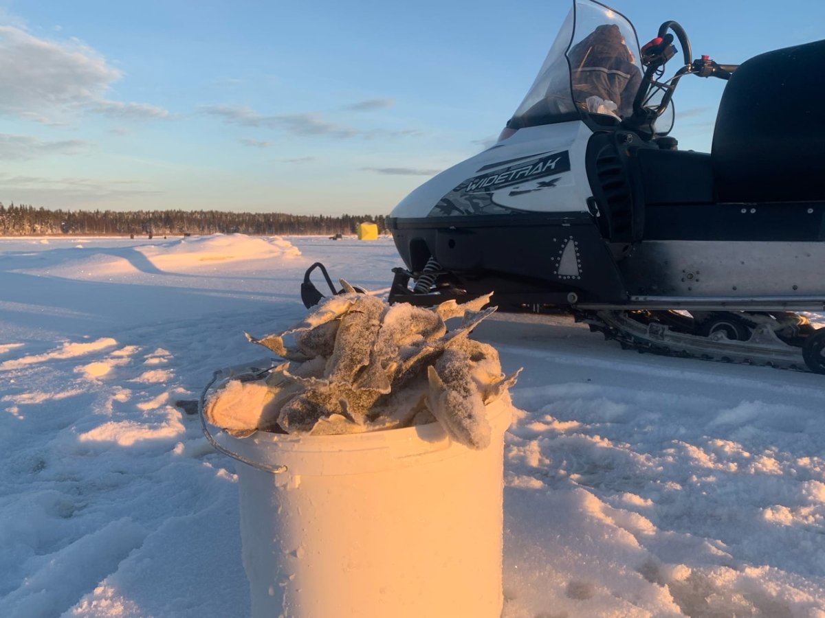 Уна рыбалка Архангельск