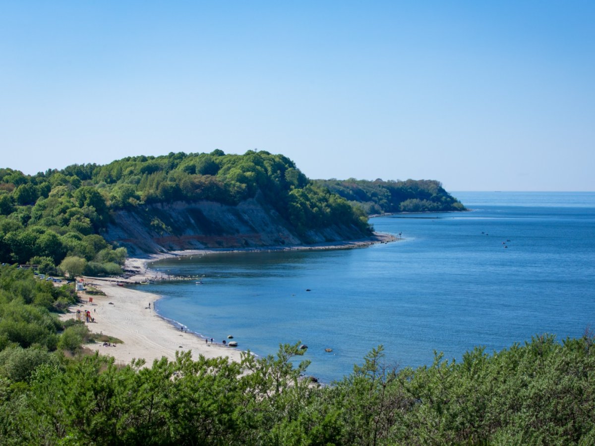 Филинская бухта Светлогорск