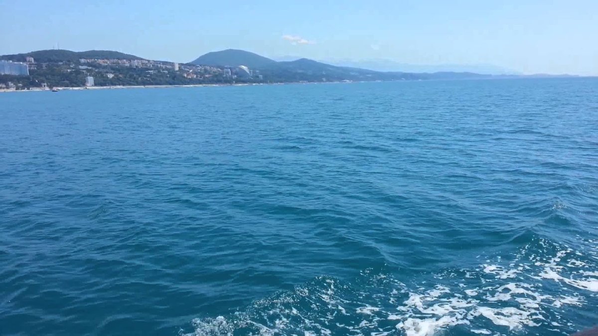 Черное море Сочи