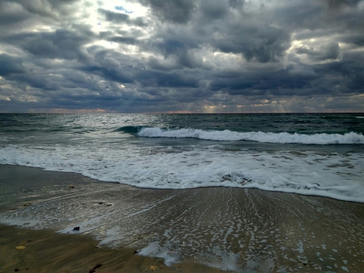 Море в декабре