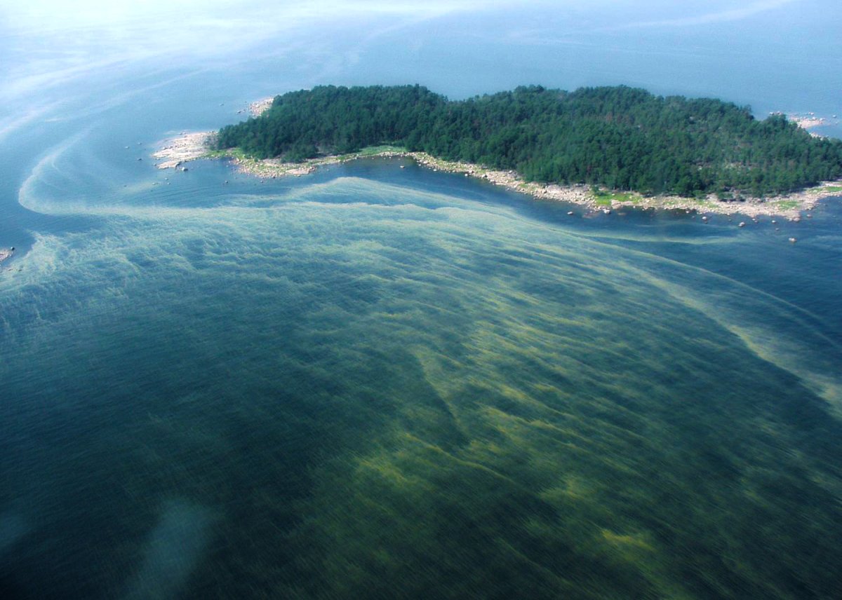 Лагунные острова Балтийского моря