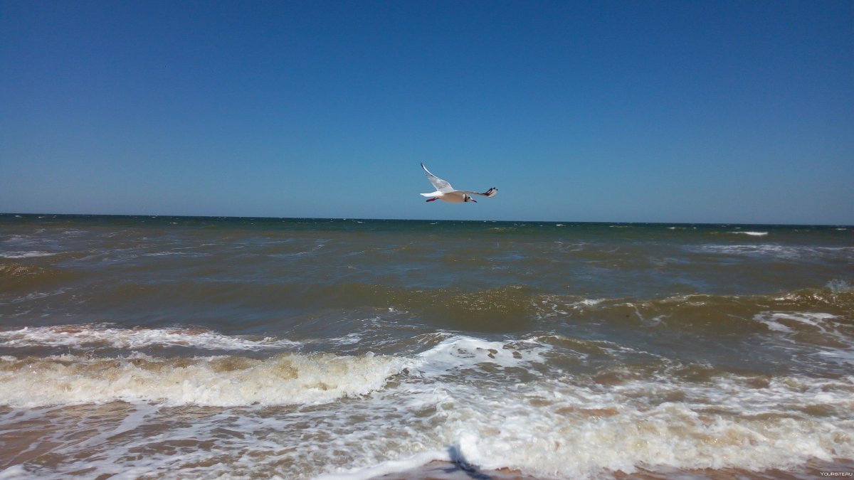 Анапа Азовское море