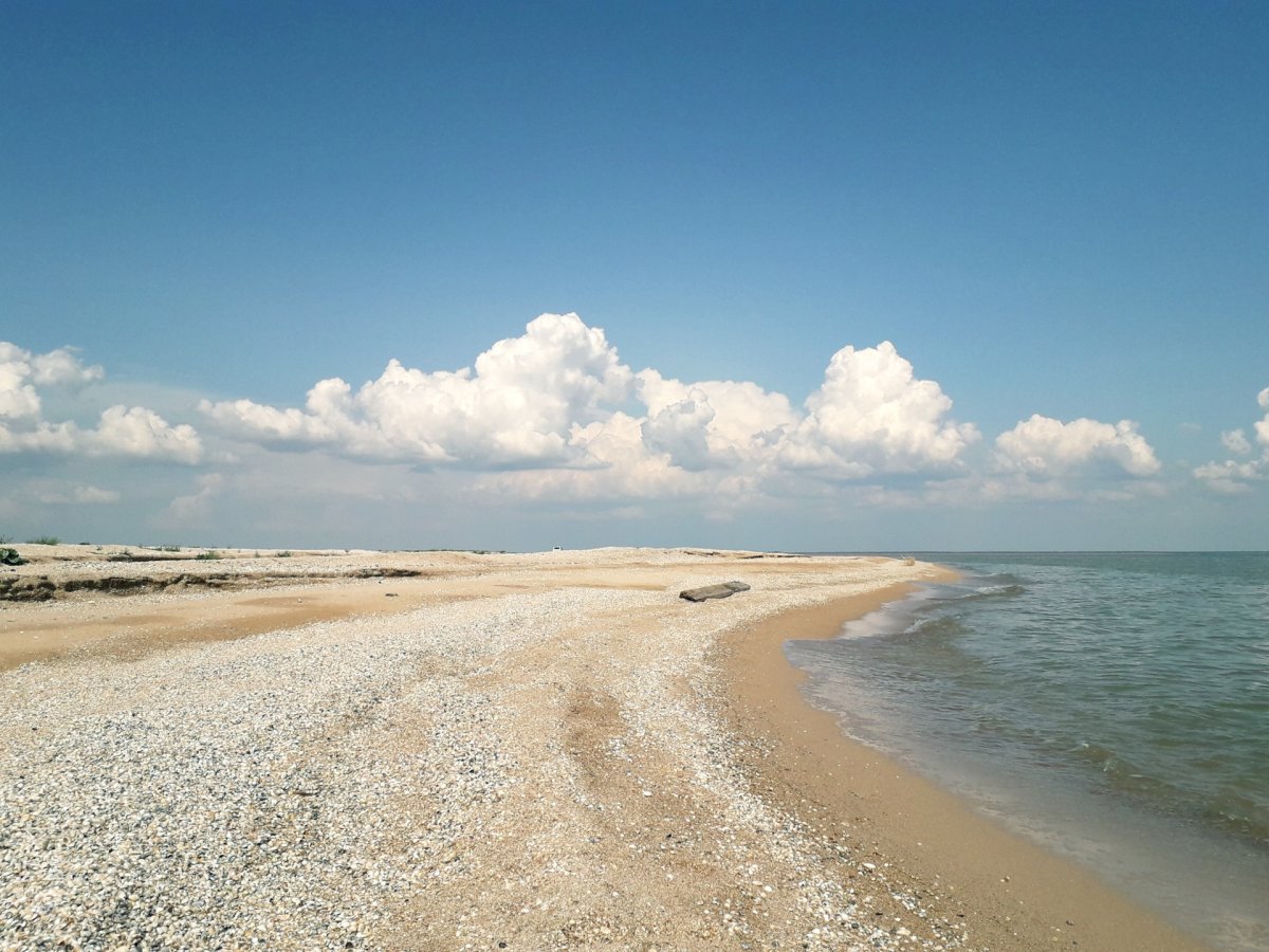 Коса Камышеватская Азовское море