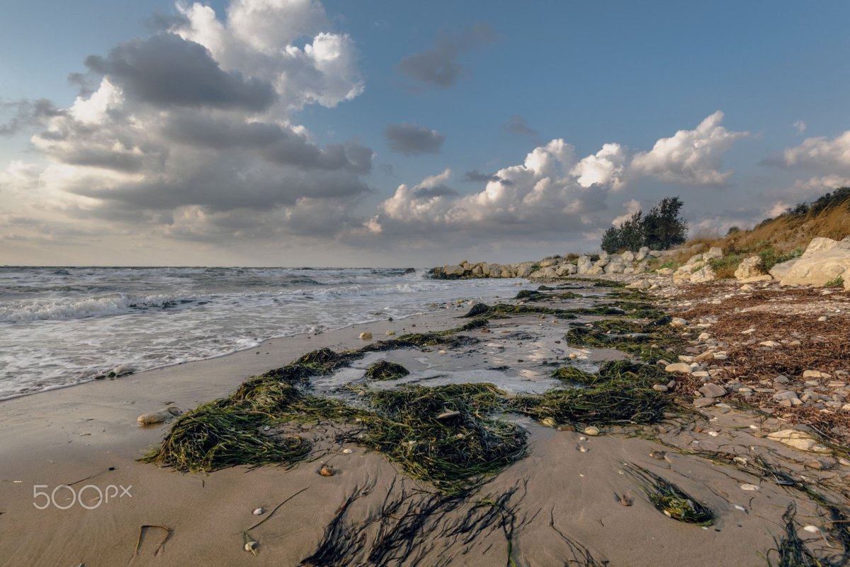 Азовское море ландшафт