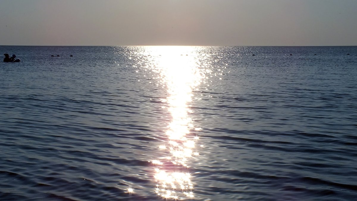 Волжанка Азовское море
