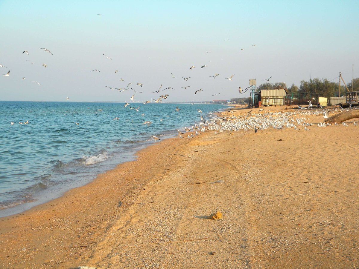 Азовское море станица Голубицкая
