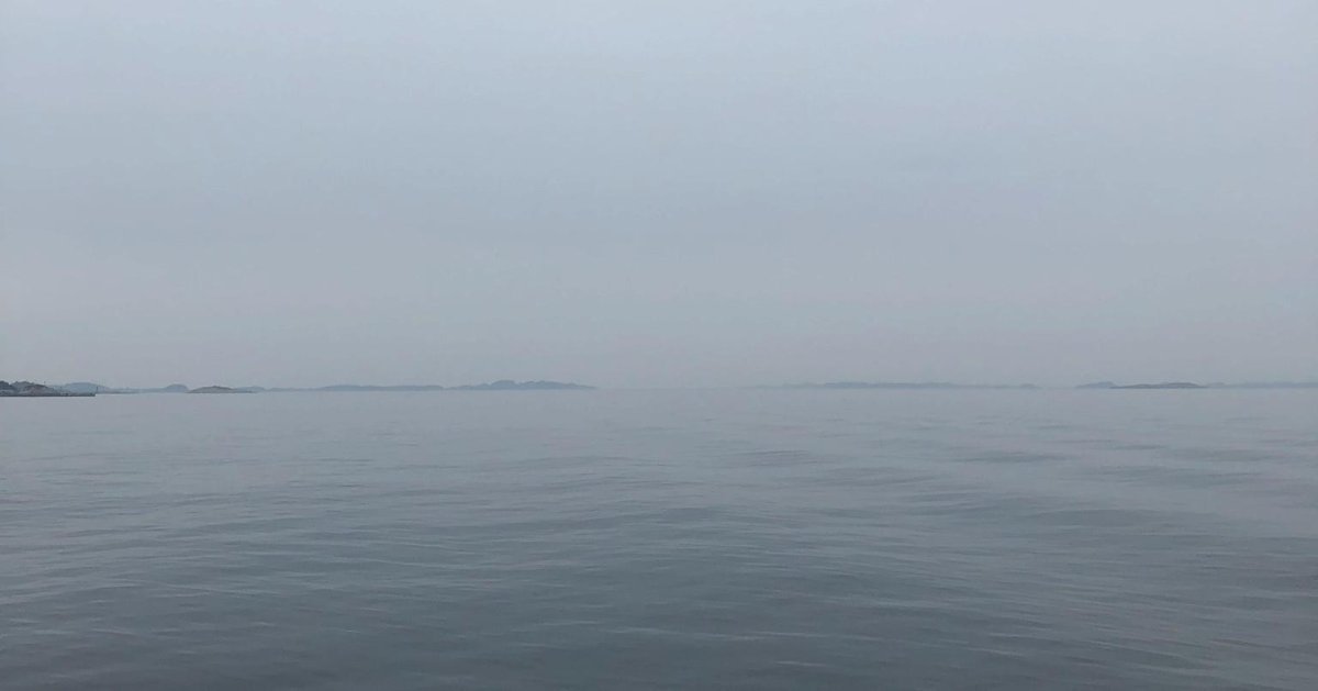 Красное море фото летом на суше