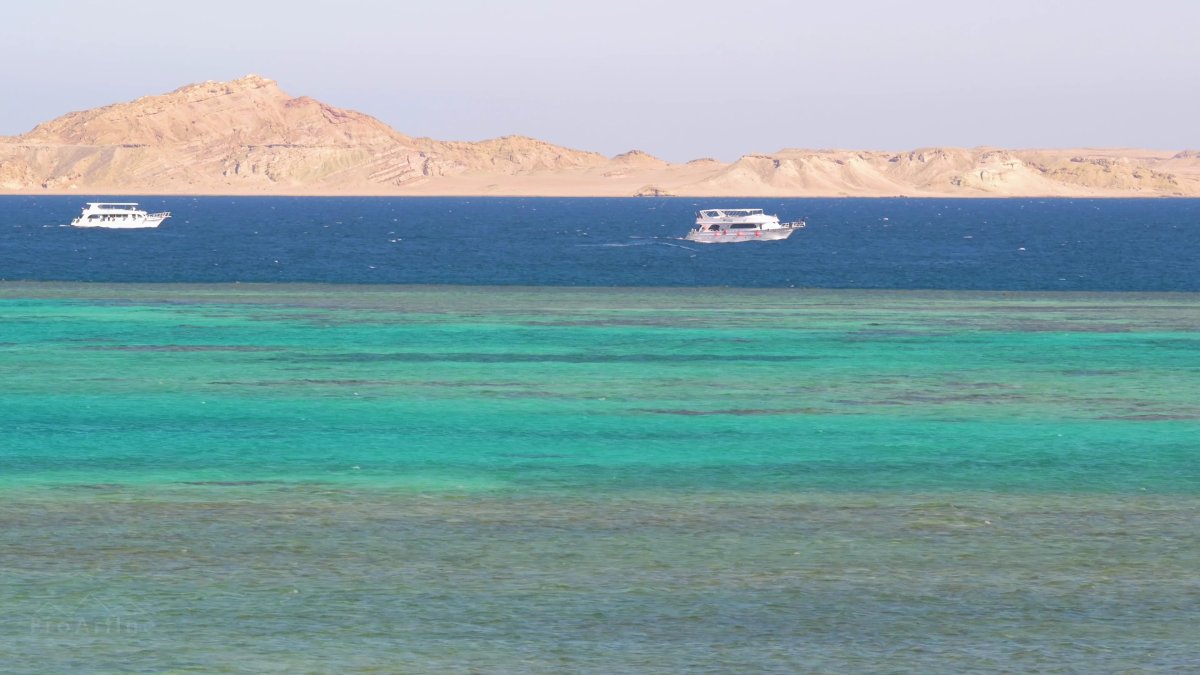 Красное море Египет