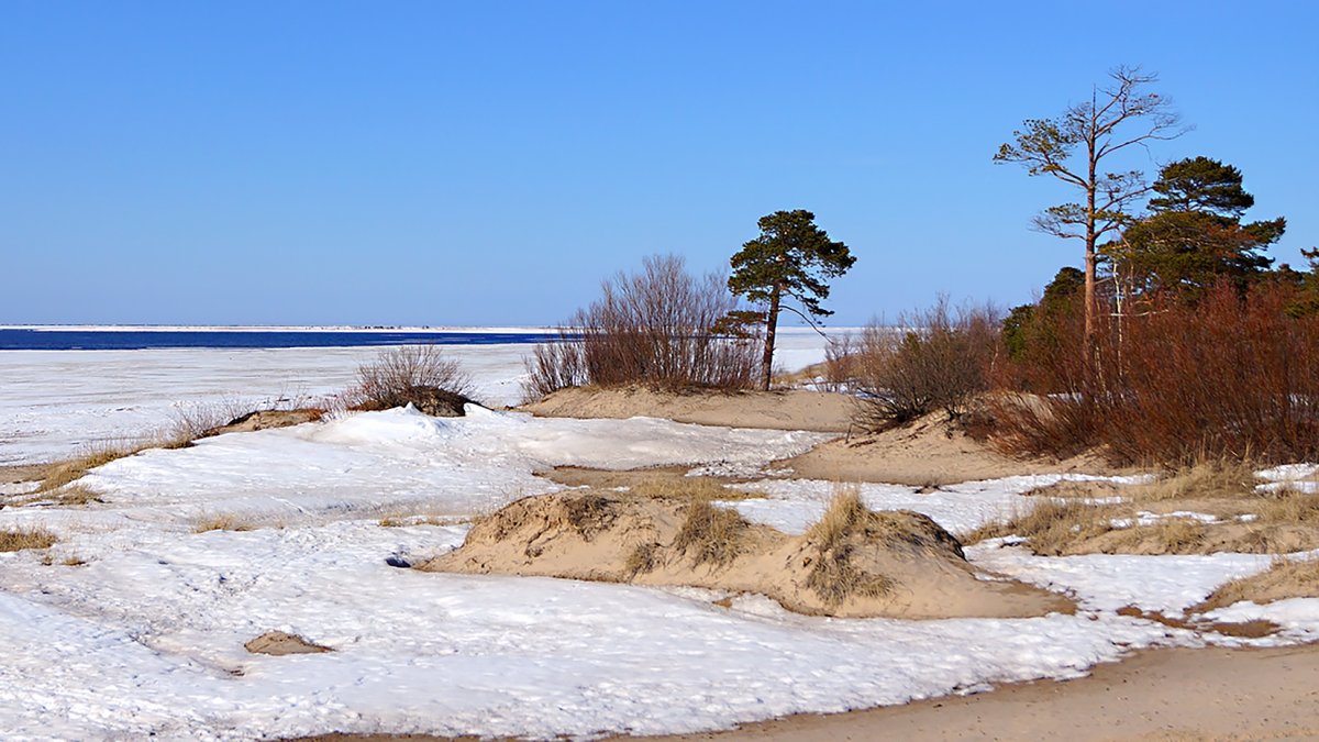 Белое море Северодвинск Ягры