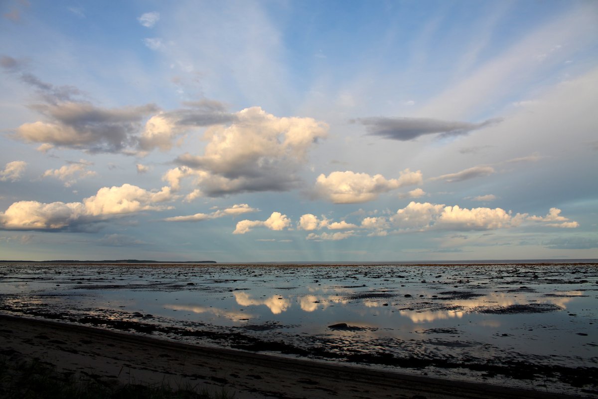 Поморье белое море