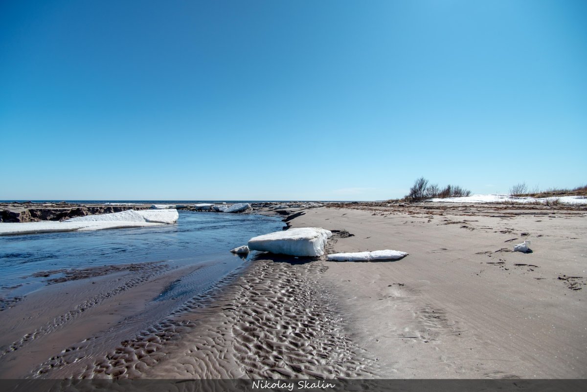 Белое море Весна