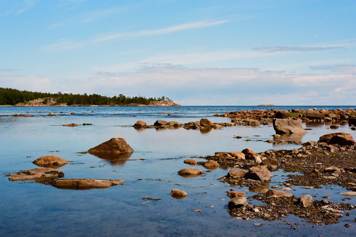 Берег Онега белое море