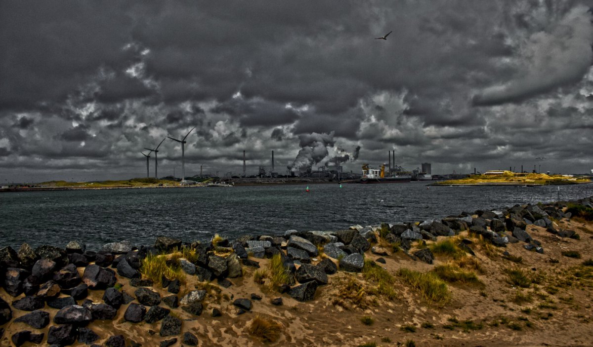 Северное море Голландия
