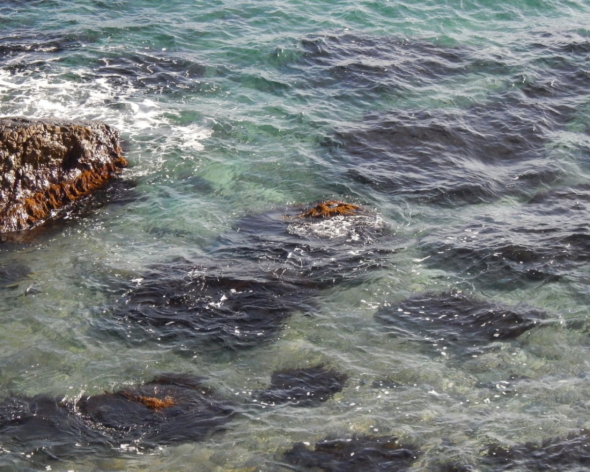 Черное море вода