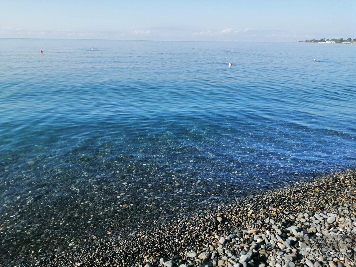 Черное море Абхазия Пицунда
