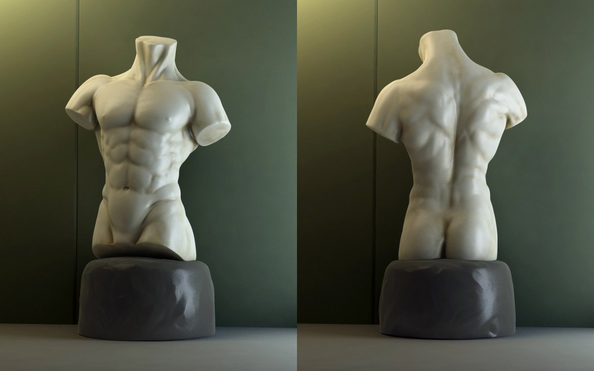 Male Torso