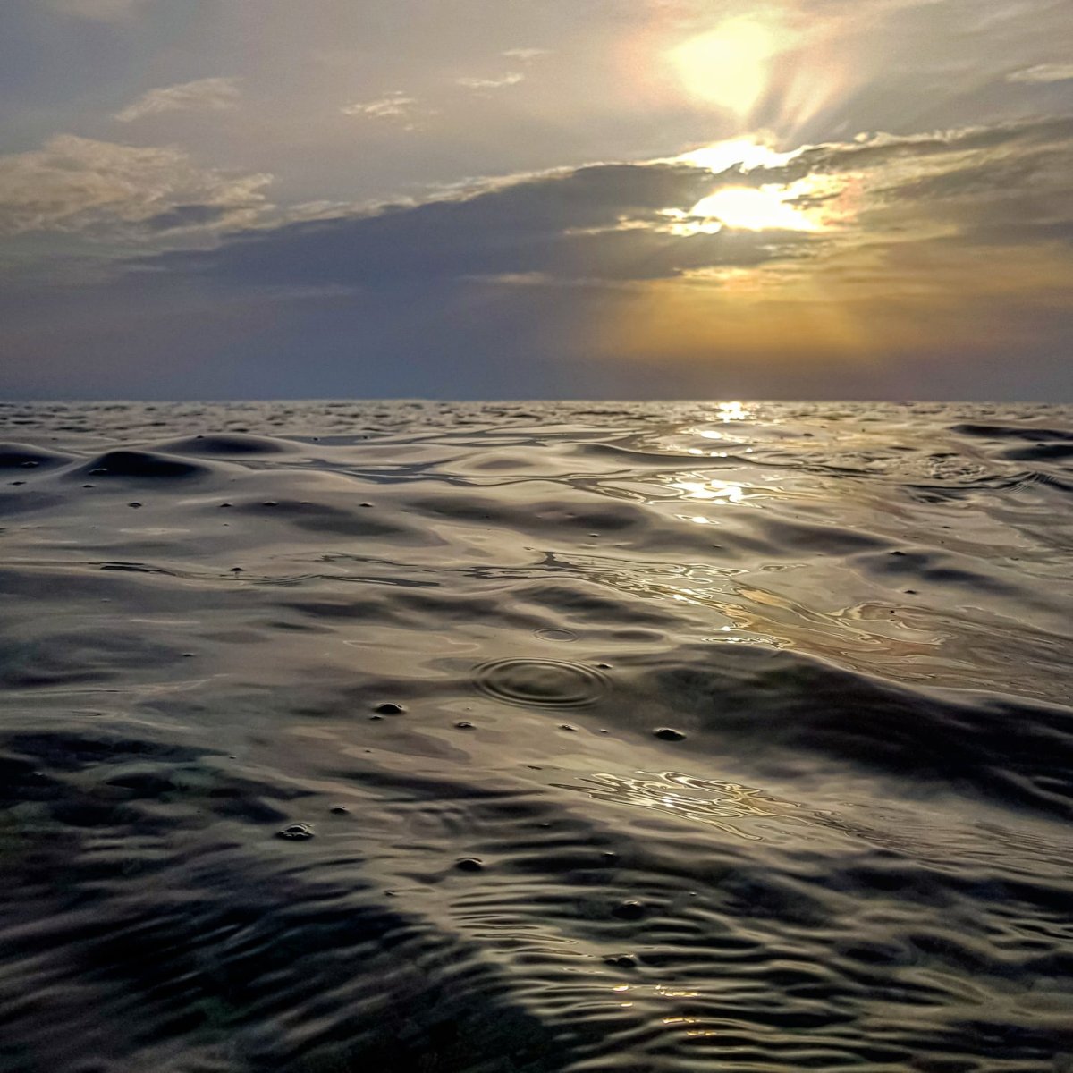 Чёрная при чёрная море