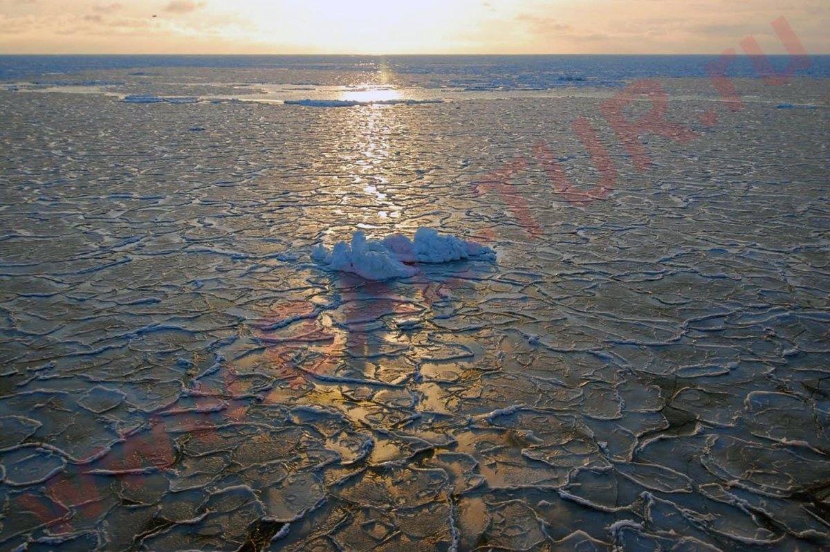 Охотское море ресурсы моря