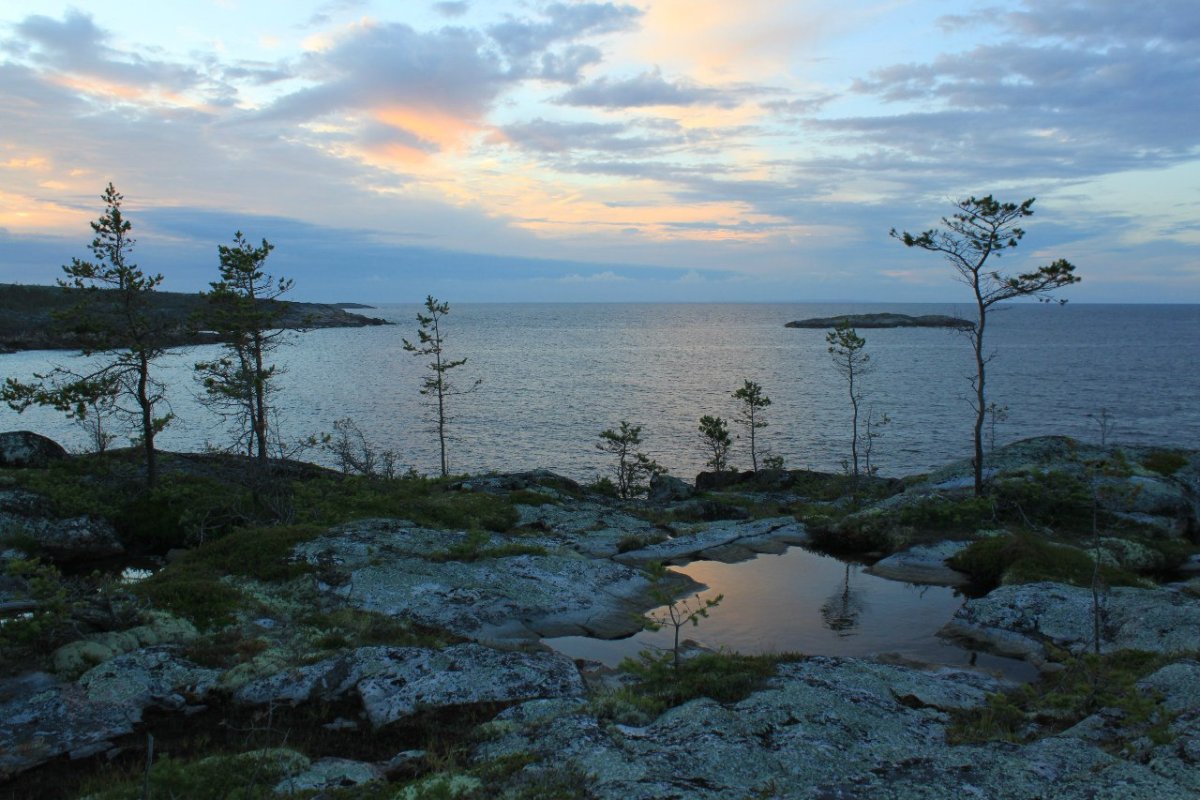 Двинская губа белого моря