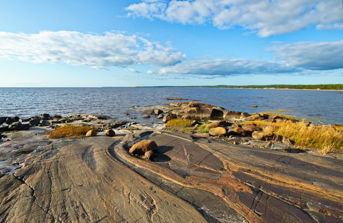 Берег белого моря Архангельская область