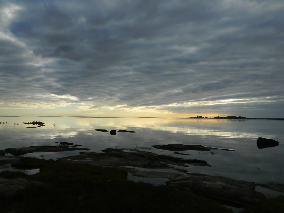 Белое море 26км