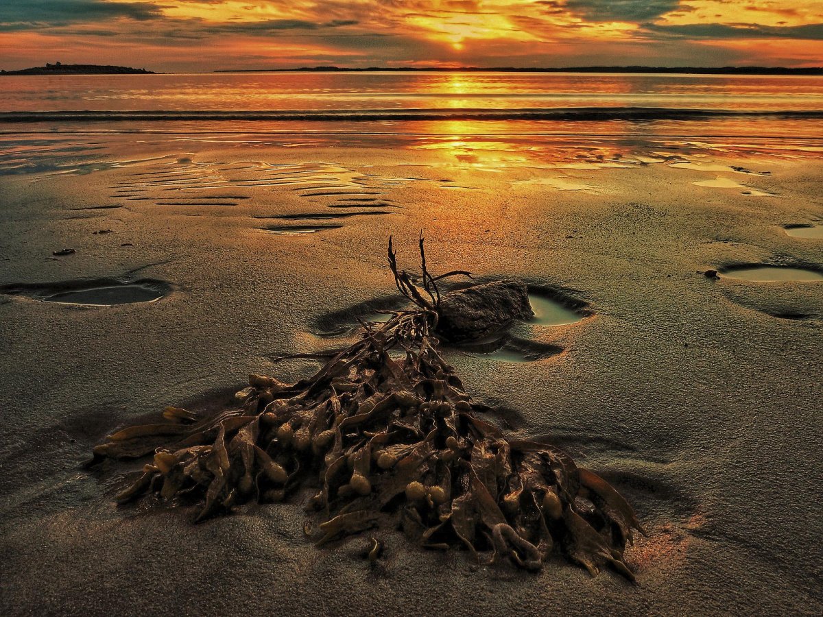 Там море