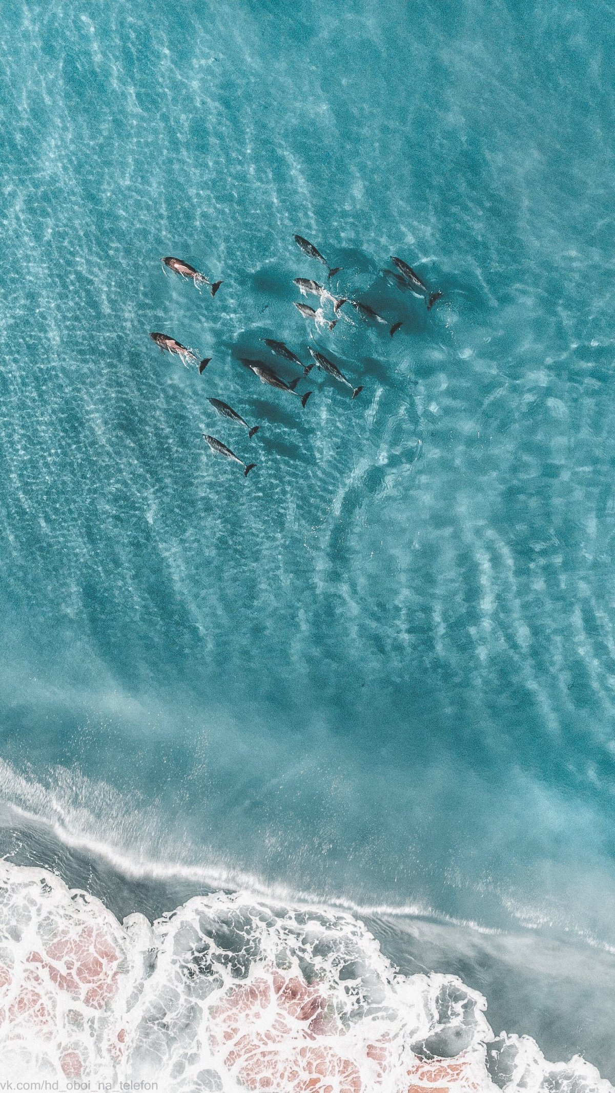 Море по водой
