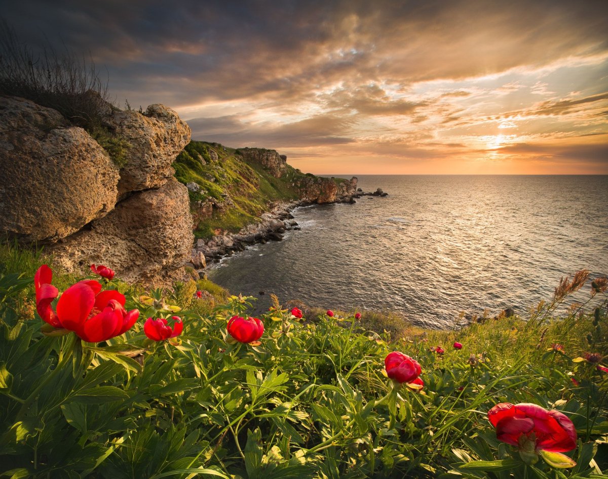 Болгария природа море