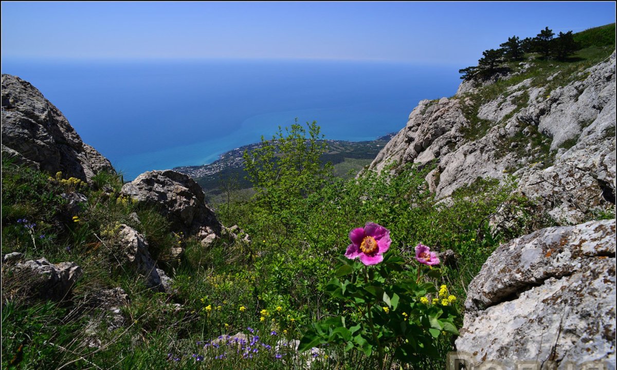 Яйла Южный берег Крыма