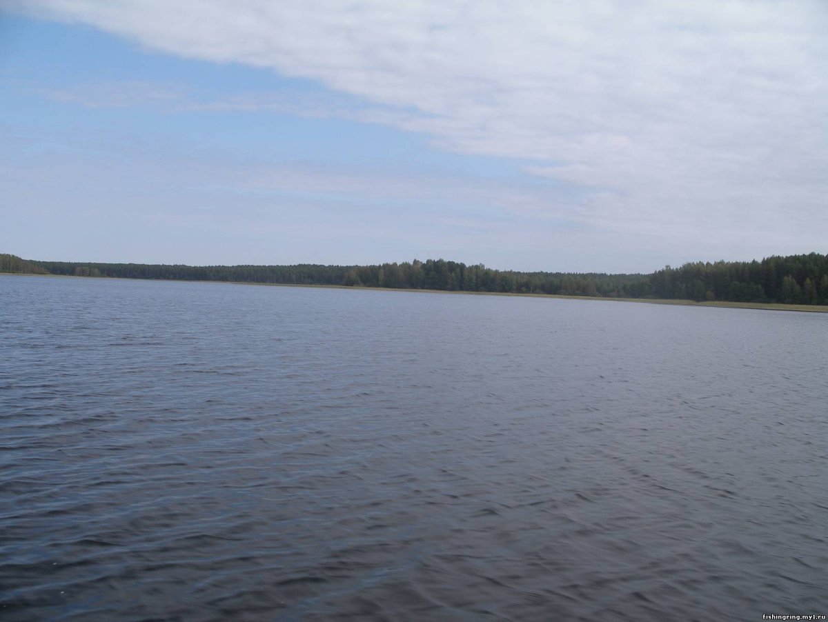 Новодевичье Куйбышевское водохранилище