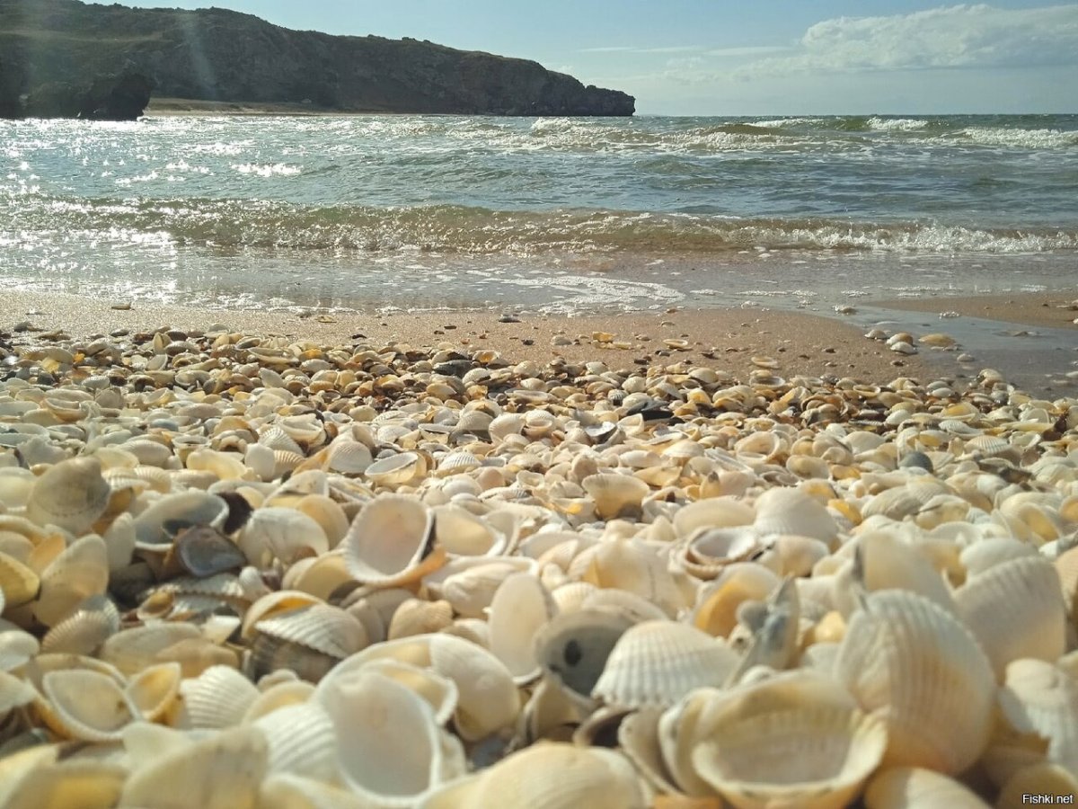 Приморский пляж азовское море