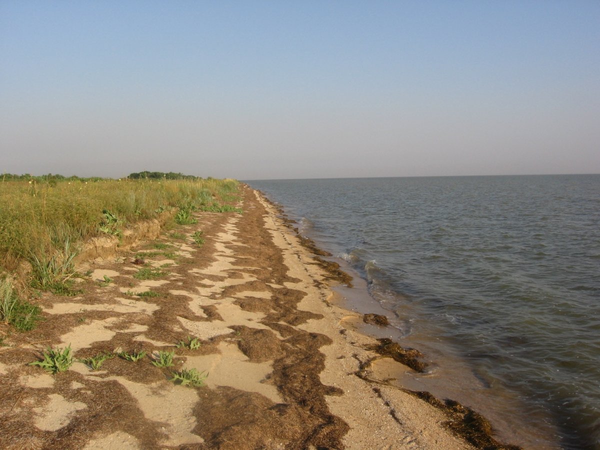 Лиманы Азовского моря