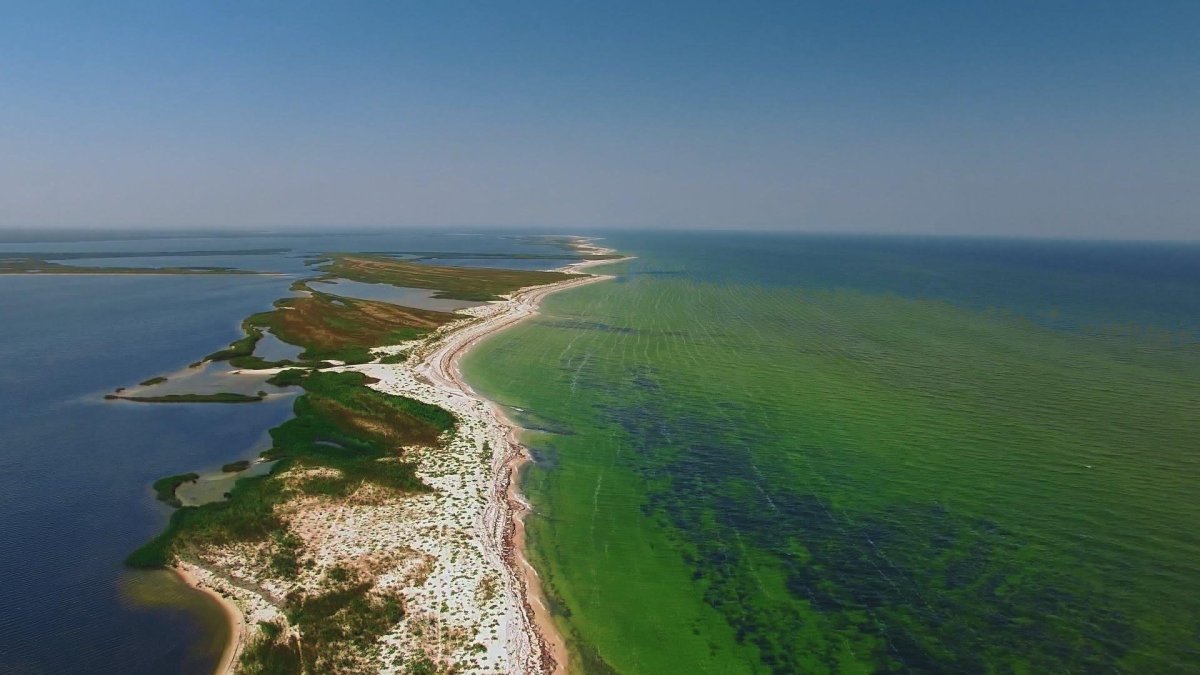 Остров Бирючий на Азовском море