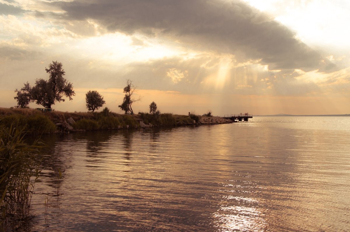 Динской залив черного моря