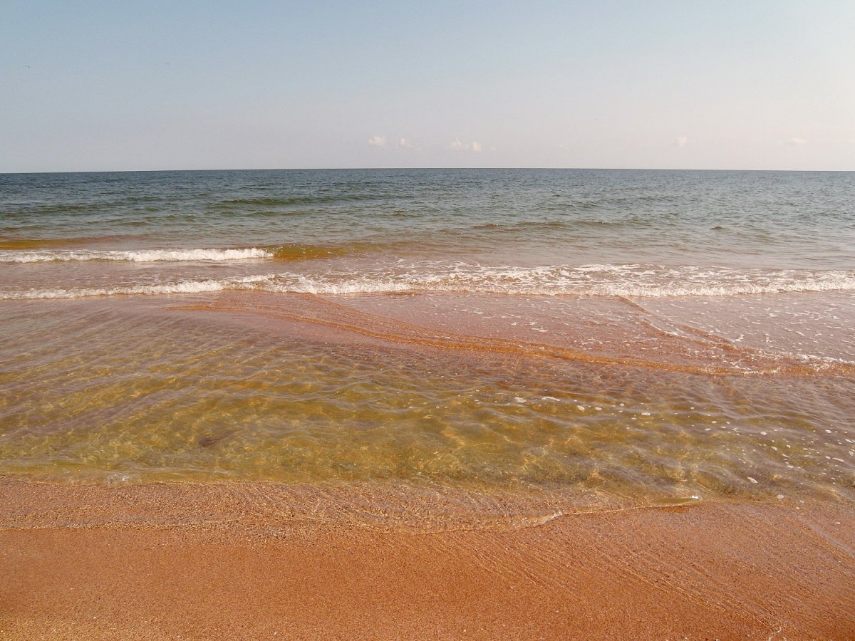 Азовское море станица Голубицкая