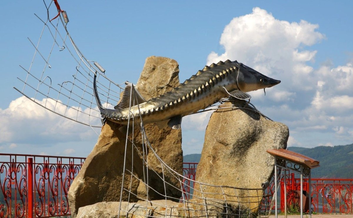 Царь-рыба памятник в Красноярске