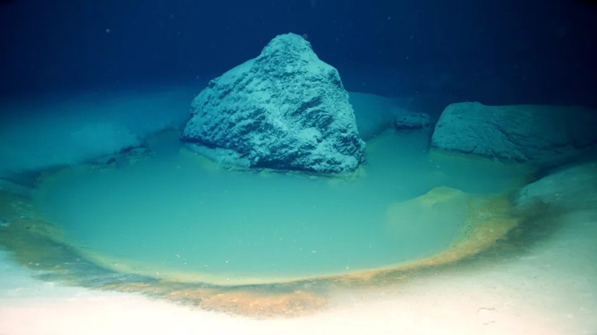 На дне красного моря
