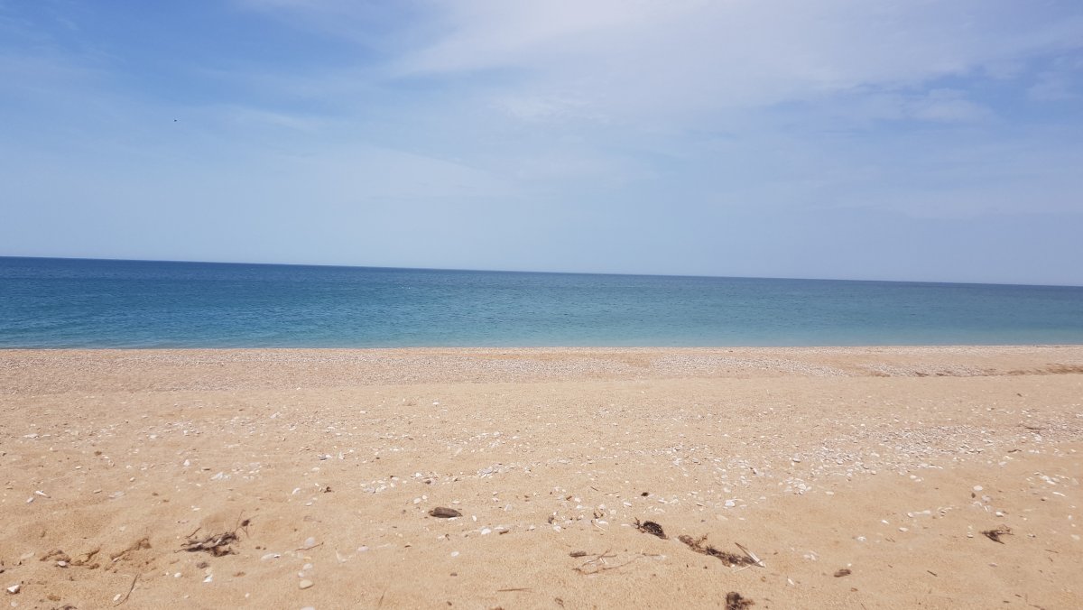 Море море край