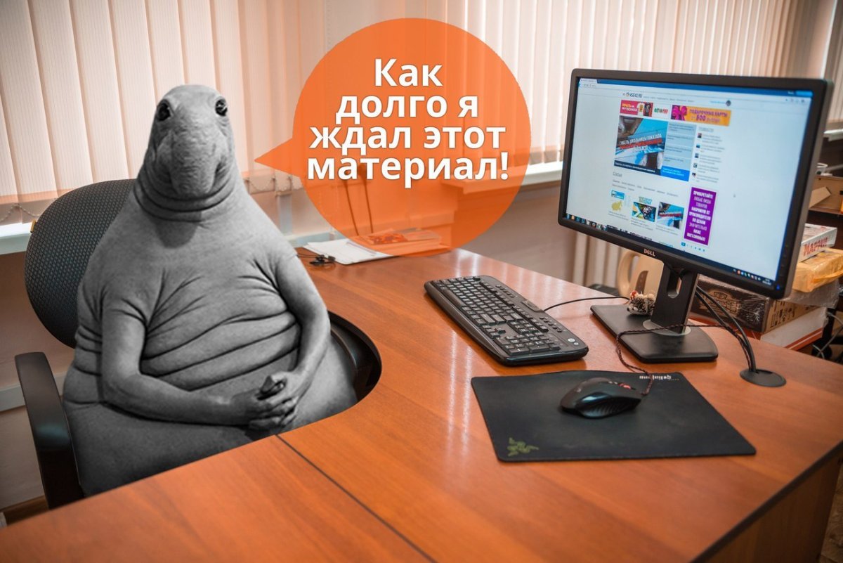 Ждун в офисе