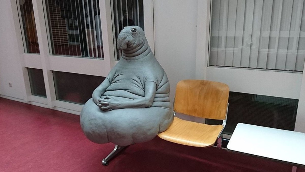 Ждун Лейден