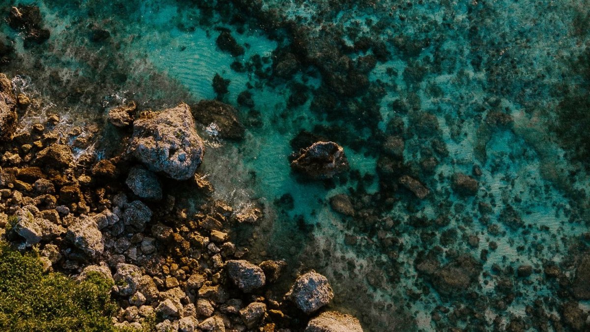 Камни на море вид сверху