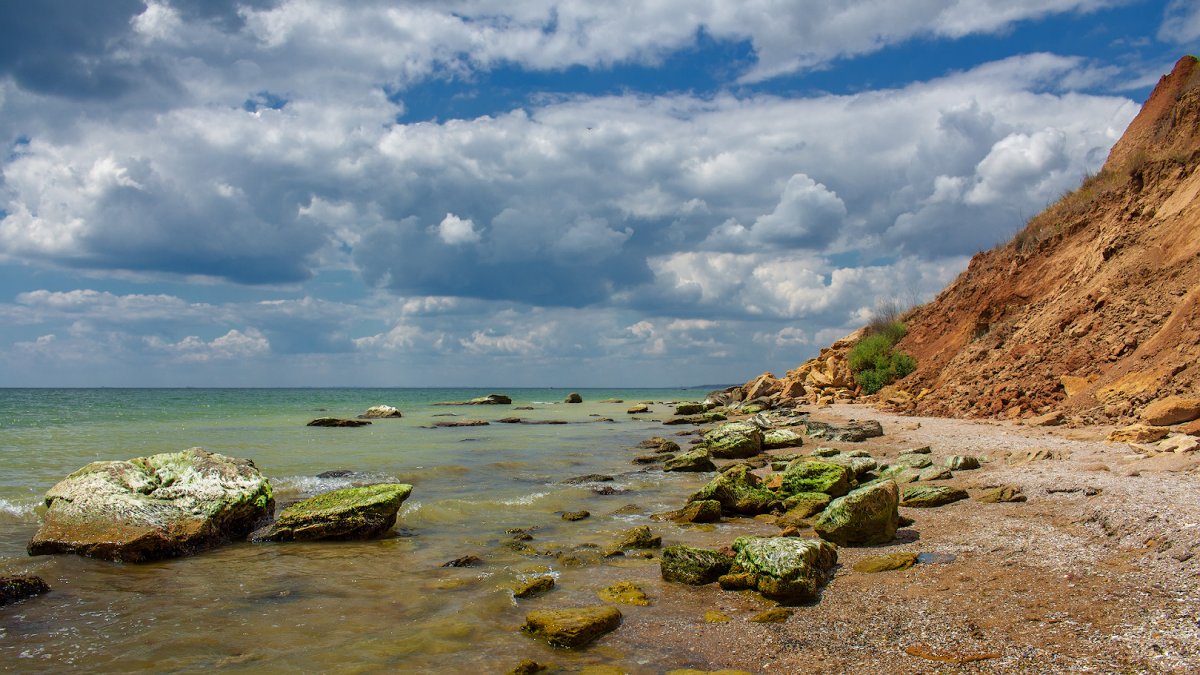 Пляж «дикий берег» ЮАР