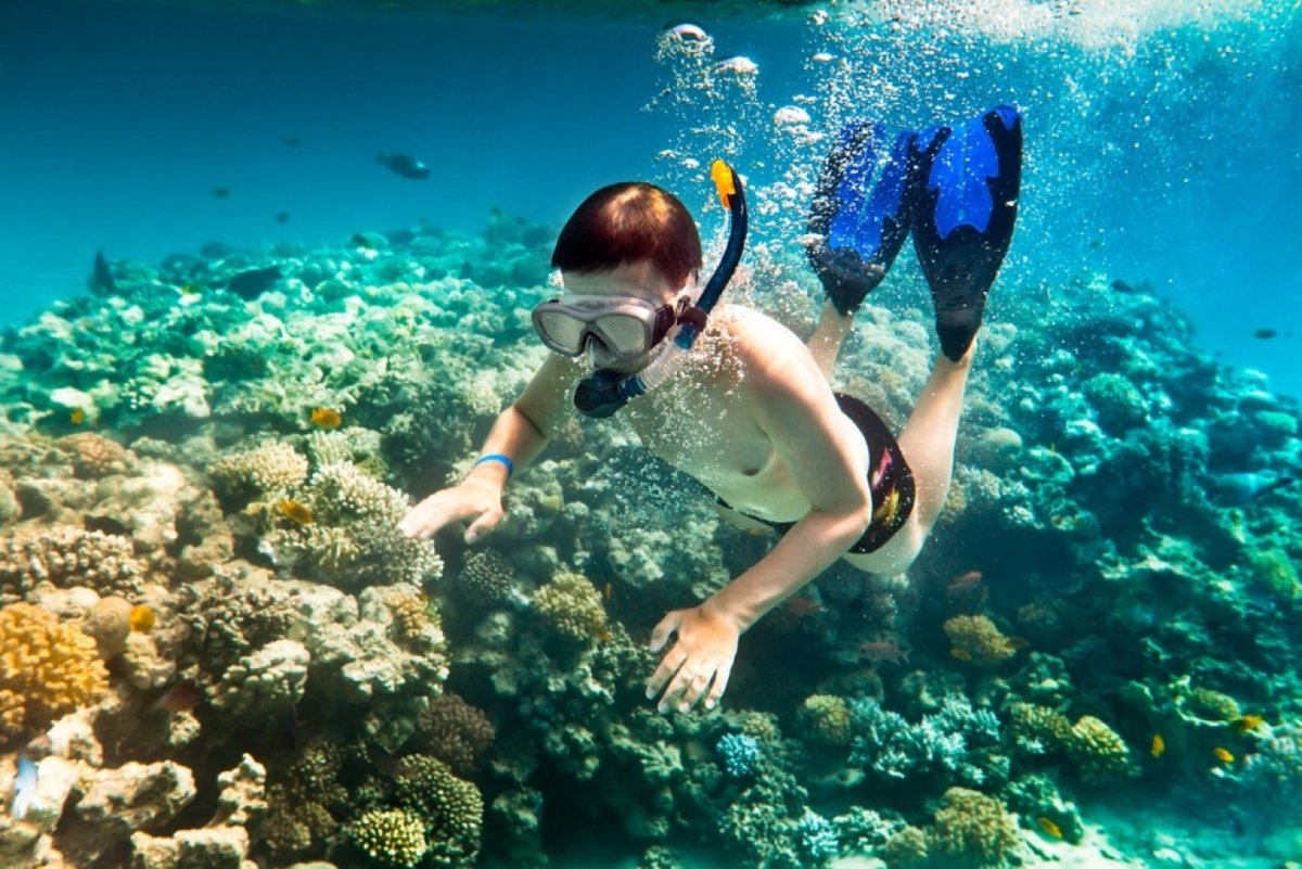 Красное море дайвинг снорклинг