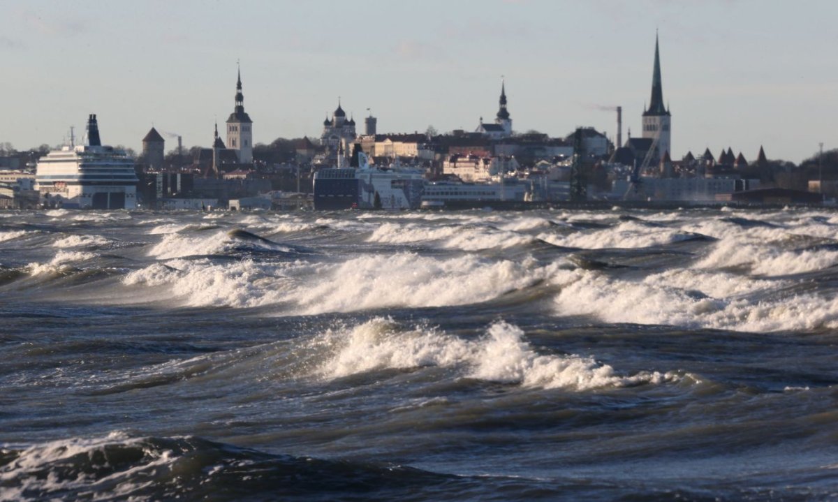 Балтийское море Таллин