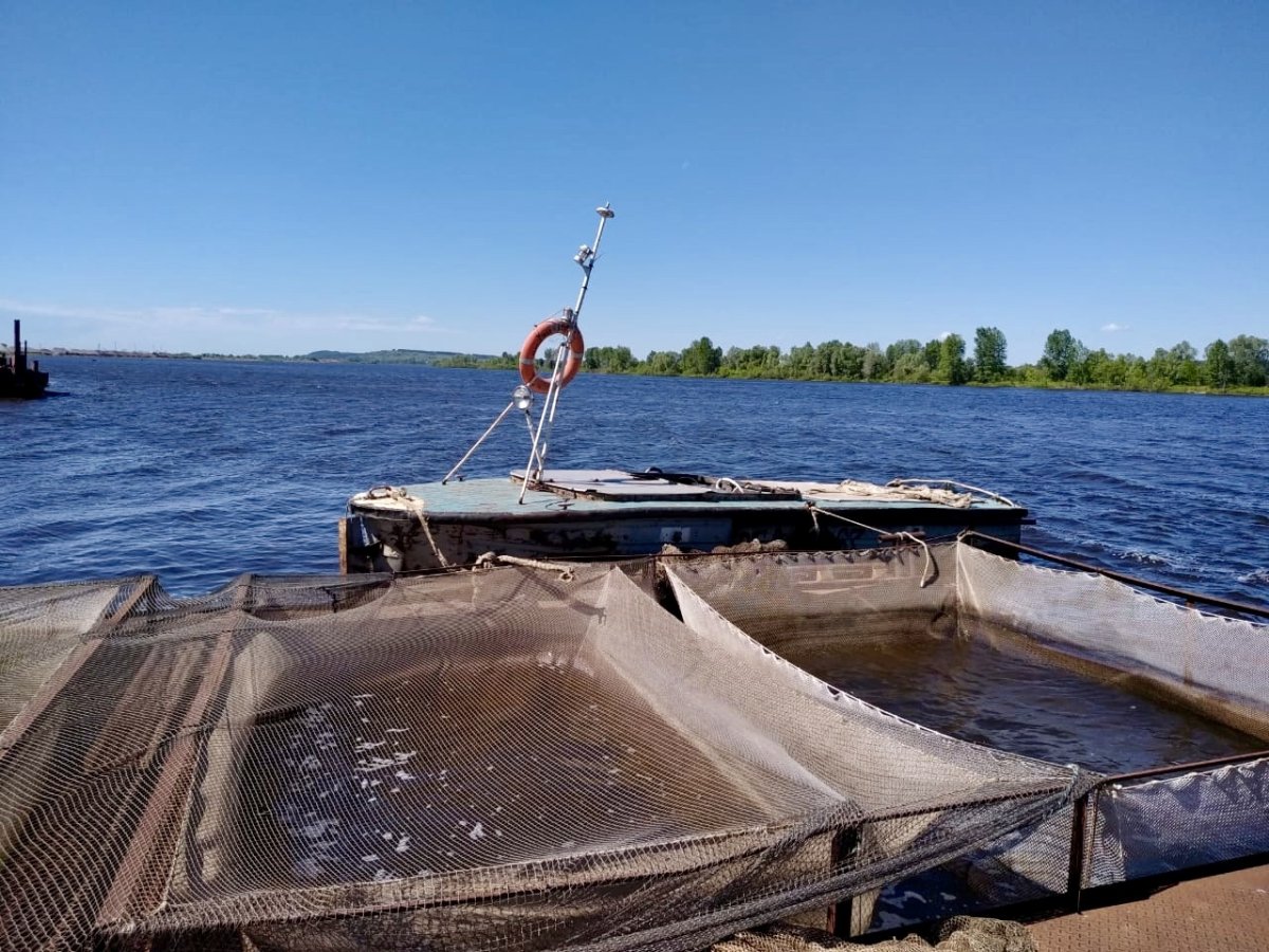 Кармановское водохранилище Башкирия