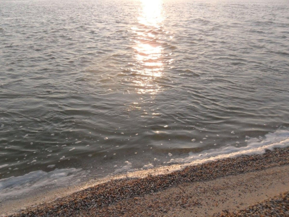 Ясенский залив Азовского моря