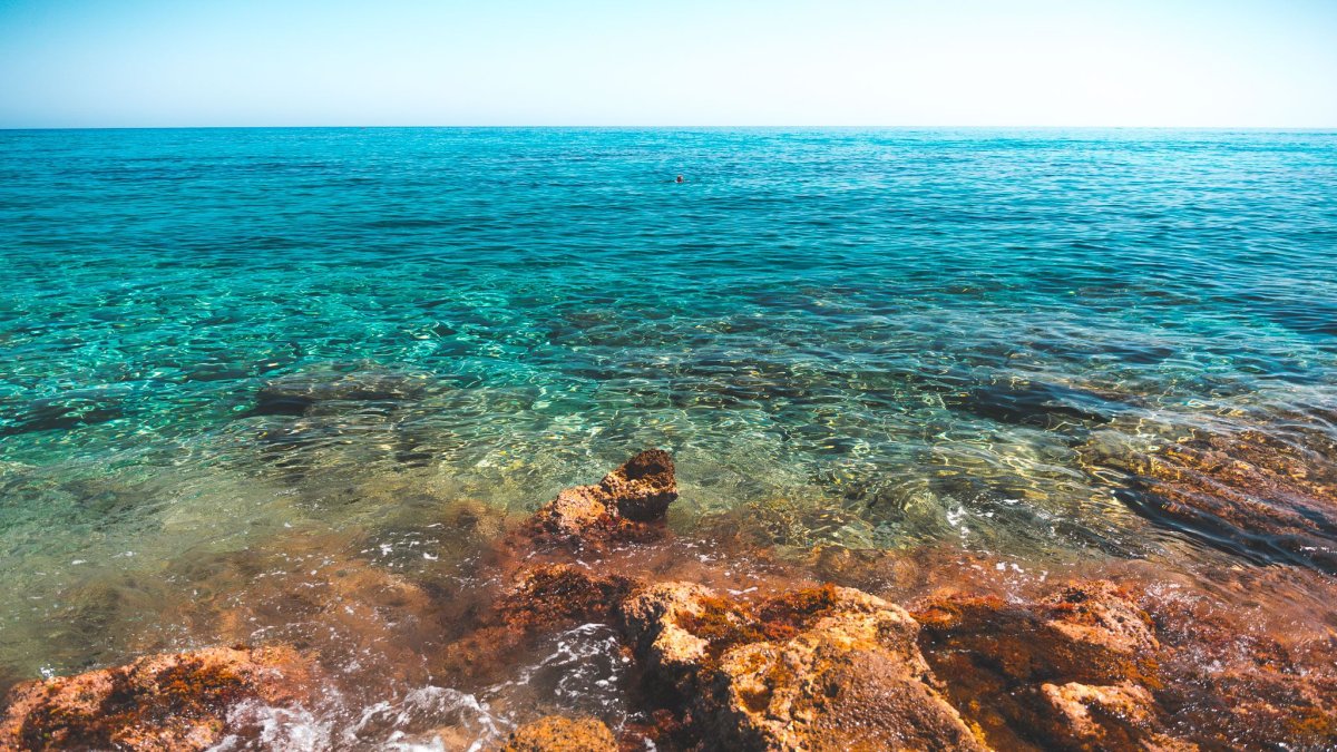 Энди моря сезон моря и