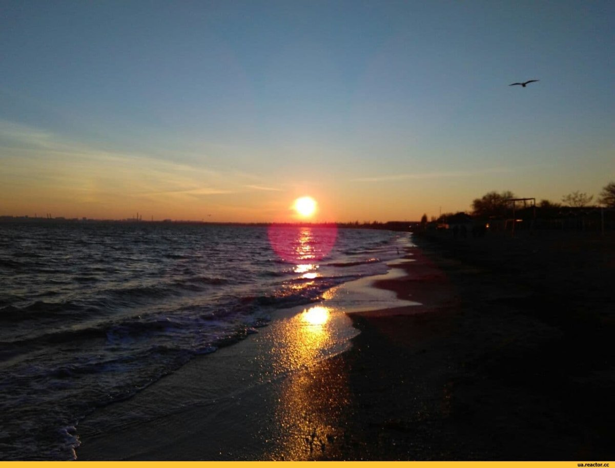 Веселое черное море