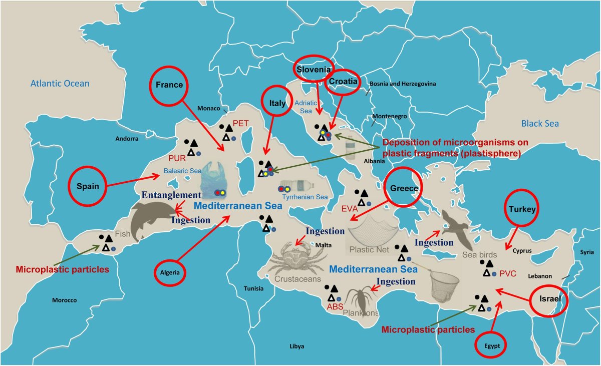 Mediterranean Sea pollution